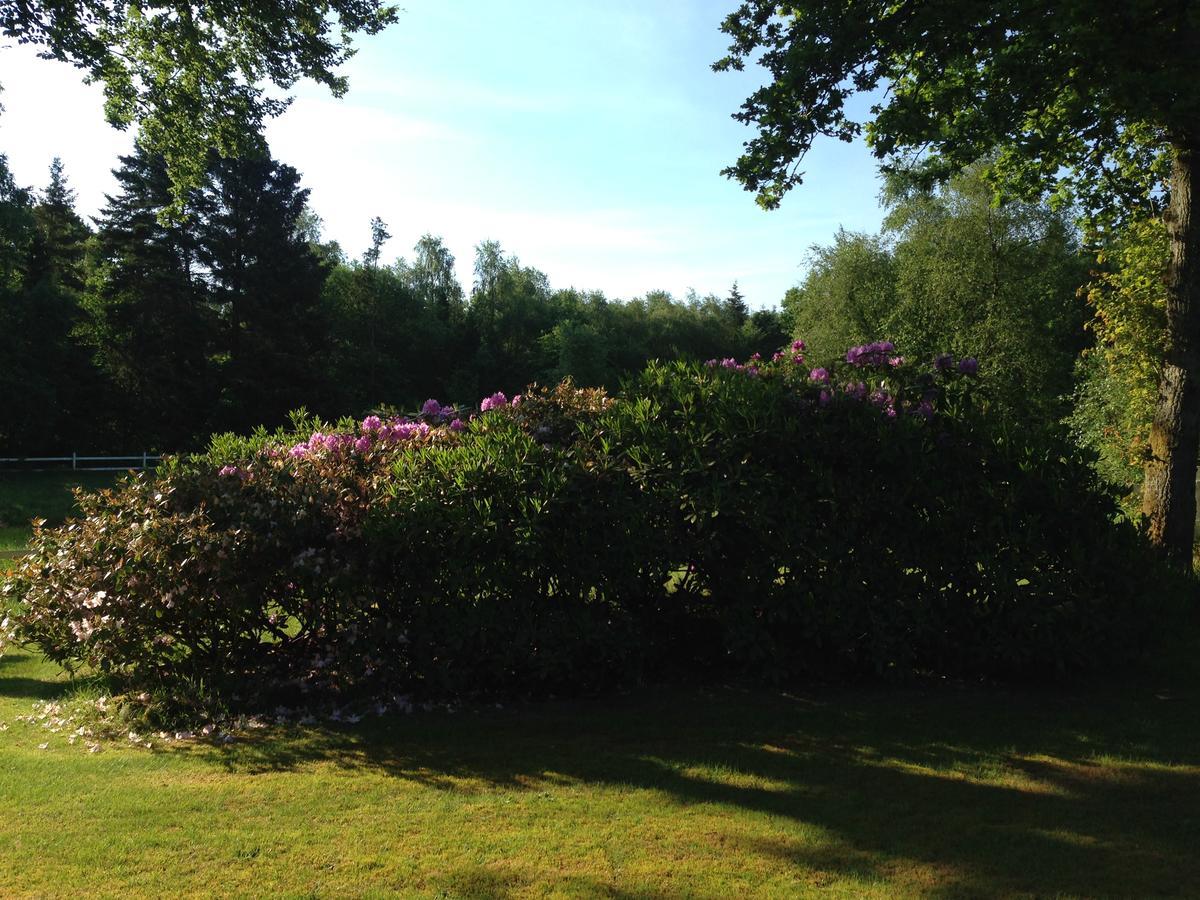 Lillelund Bed And Breakfast Silkeborg Buitenkant foto