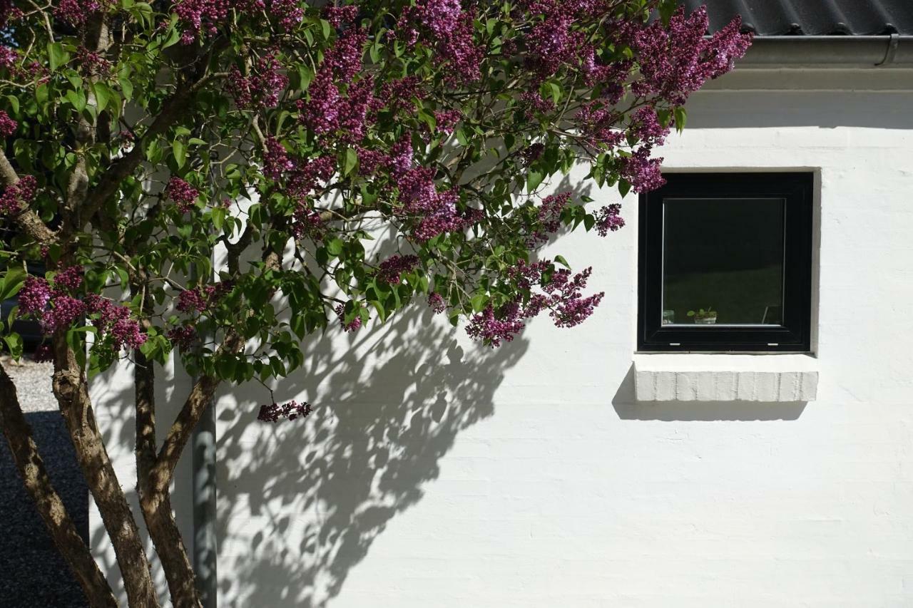 Lillelund Bed And Breakfast Silkeborg Buitenkant foto